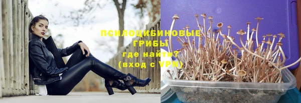 винт Армянск